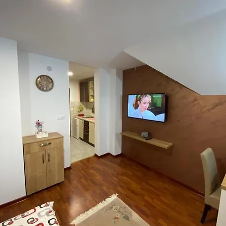 Bogdanovic * Zlatibor