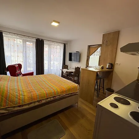 Apartamento Bogdanovic Zlatibor