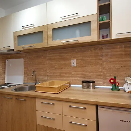 Bogdanovic Apartment *