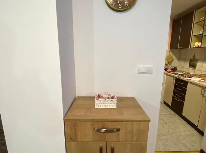 Bogdanovic ズラティボール