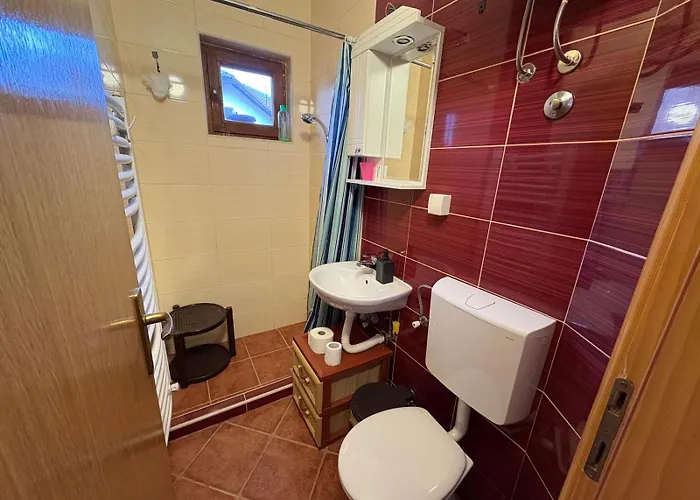 Bogdanovic ズラティボール